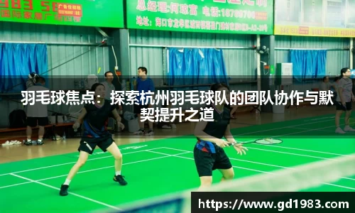 羽毛球焦点：探索杭州羽毛球队的团队协作与默契提升之道